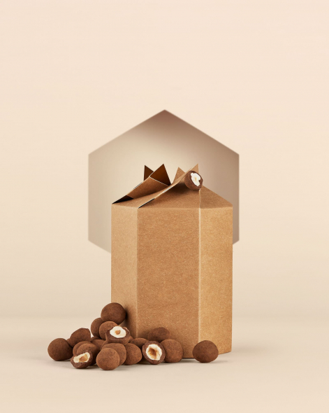 Dragées Noisette au Chocolat au Lait 45% | Le Chocolat Alain Ducasse 250g