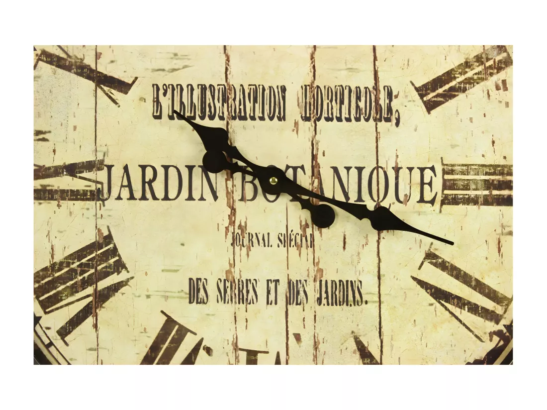 Grande horloge ancienne murale jardin botanique Fer Blanc - Décoration d'Autrefois