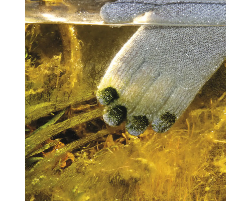 JBL ProScape Reinigingshandschoen voor Aquaria, Maat L/XL, 1 paar, reinigingshandschoen, aquascaping