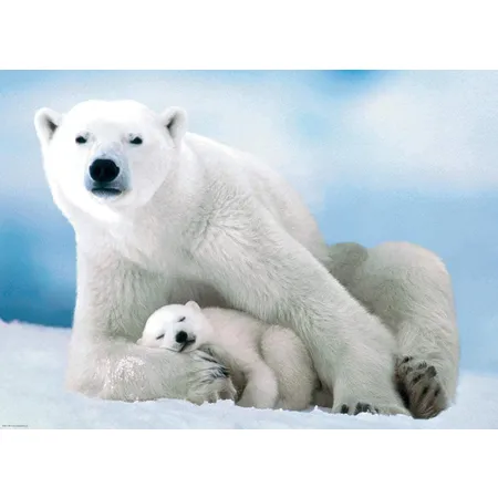 Eurographics Eisbär & Baby, 1000 Teile
