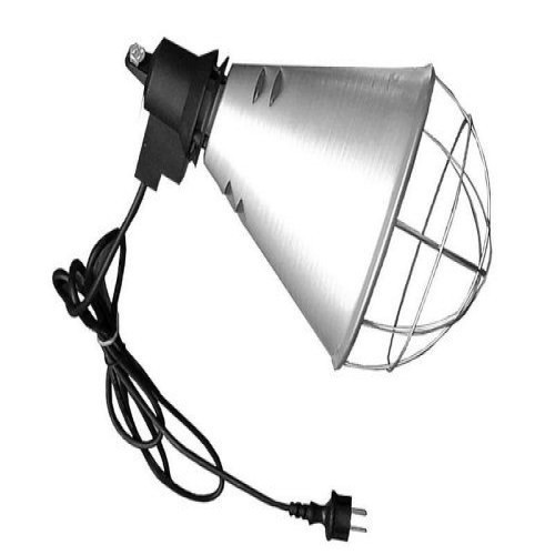 Suporte para lâmpada de reprodução