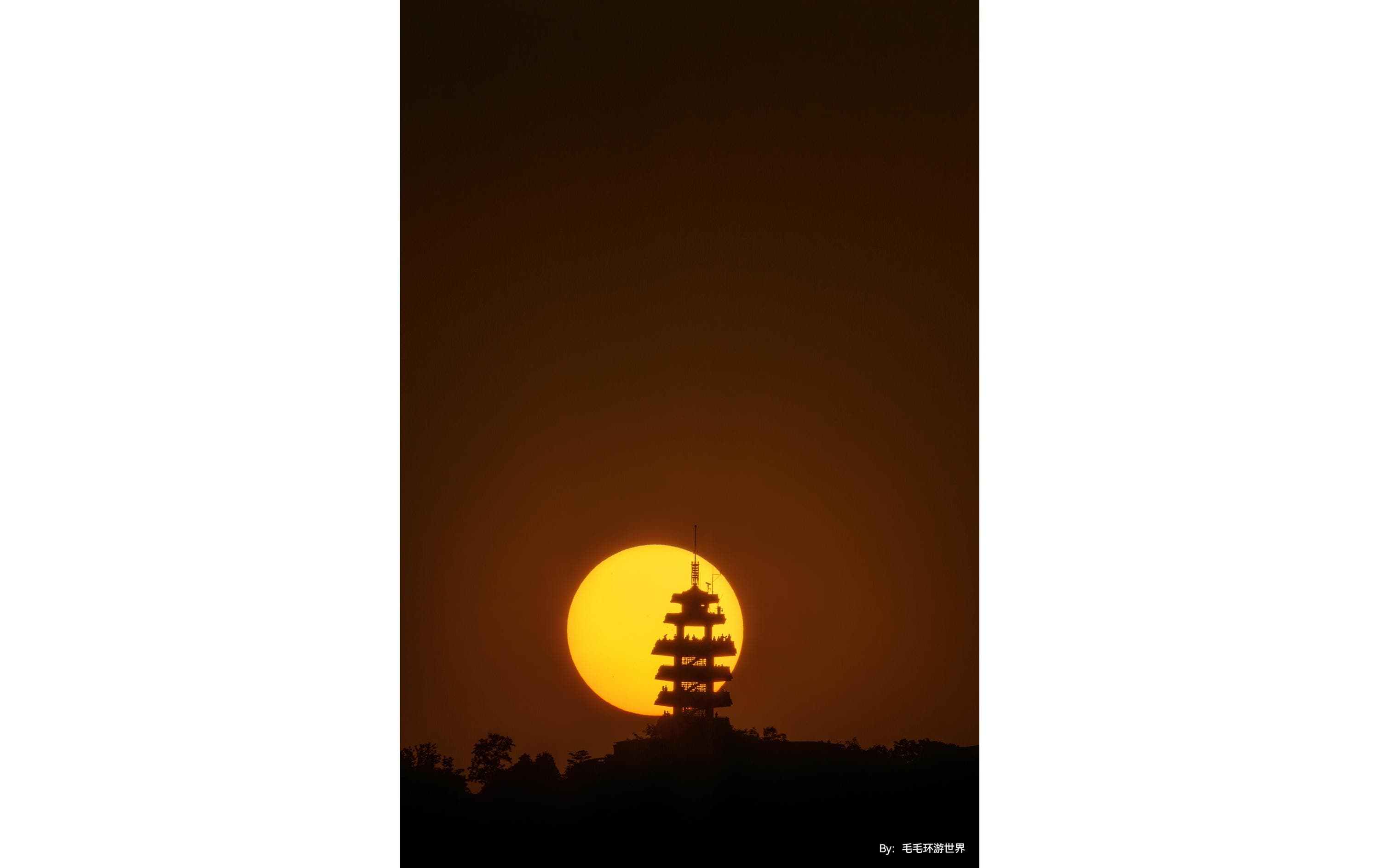 Festbrennweite 500mm F/6.3 – Canon RF<br>Teleobjektiv zum Fotografieren weit entfernter Motive wie Flugzeuge, Sport, Wildtiere und mehr