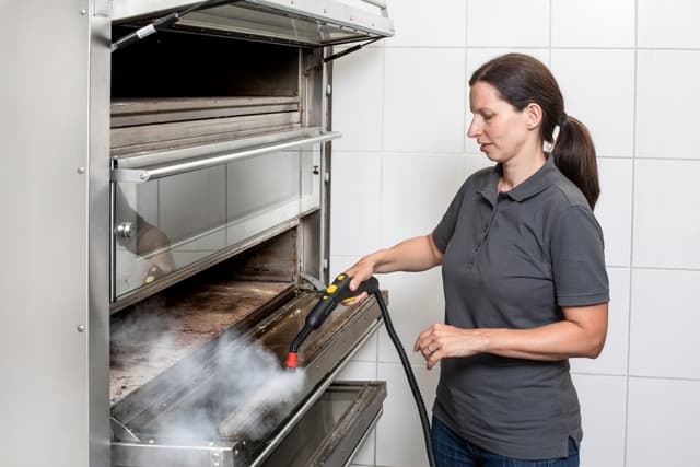 Kärcher SG 4/4 damprenser 10921040