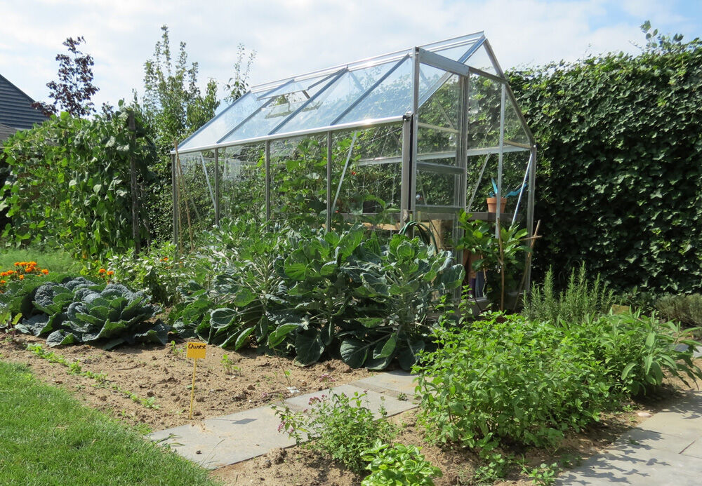 Halls Popular 86 - Tuinkas - zilver - 195x193x257 cm - Tuindersglas