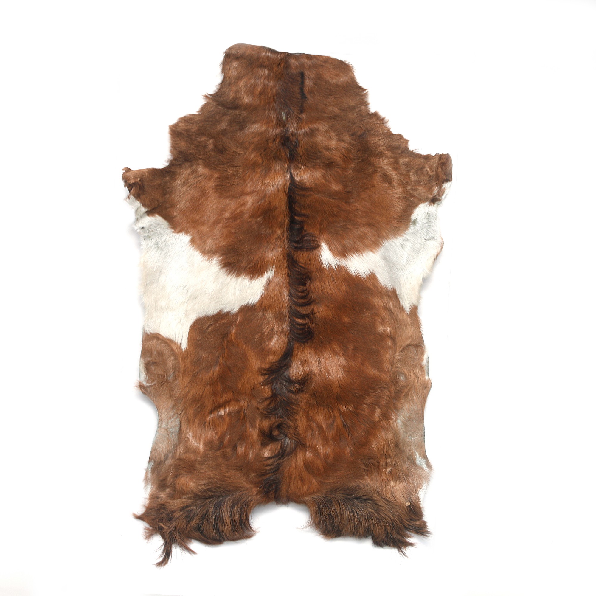 Ziegenfell 'Kulit', natur, T 68 cm, B 110 cm von fischer's lagerhaus