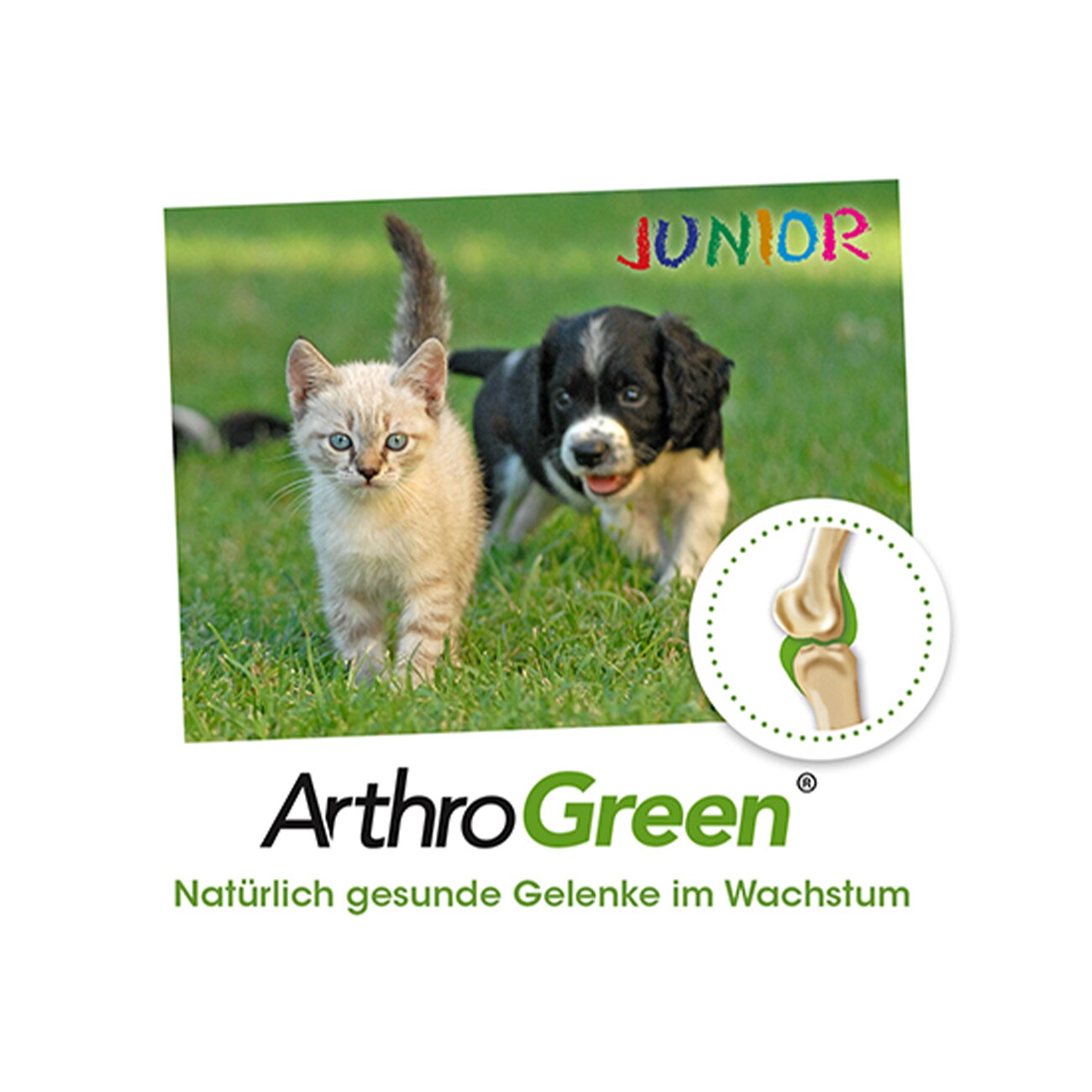 cdVet ArthroGreen Junior 25 g
