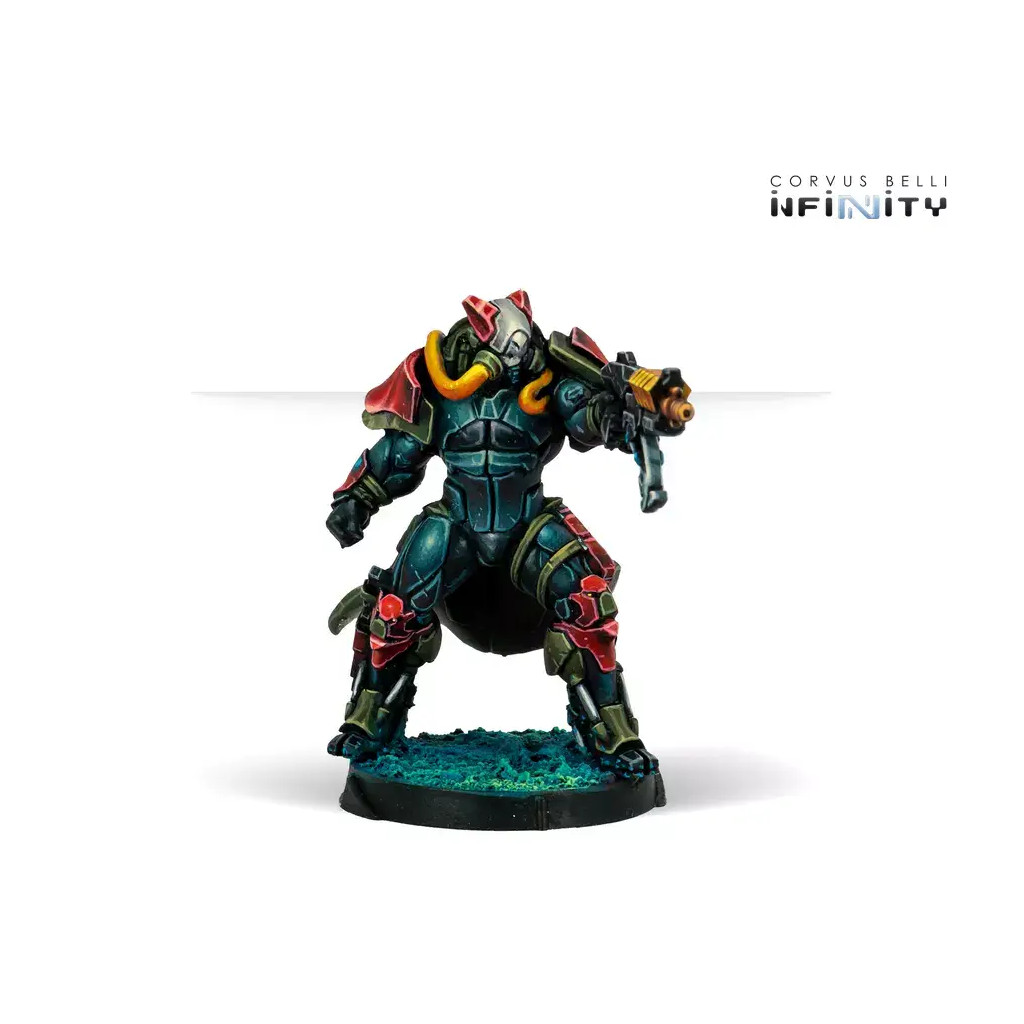 Infinity - Combined Army - Rodoks, Armed Imposition Detachment
