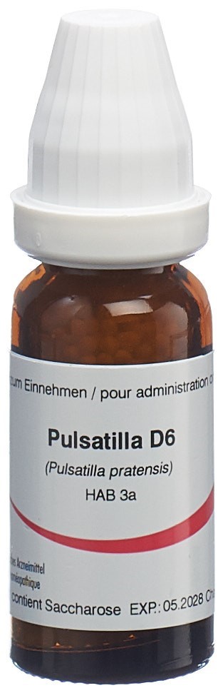 Omida Pulsatilla Glob 6 D 14 g