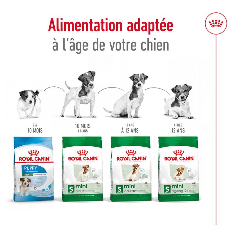 Royal Canin Mini Adult 8+ à prix discount sur bitiba.fr