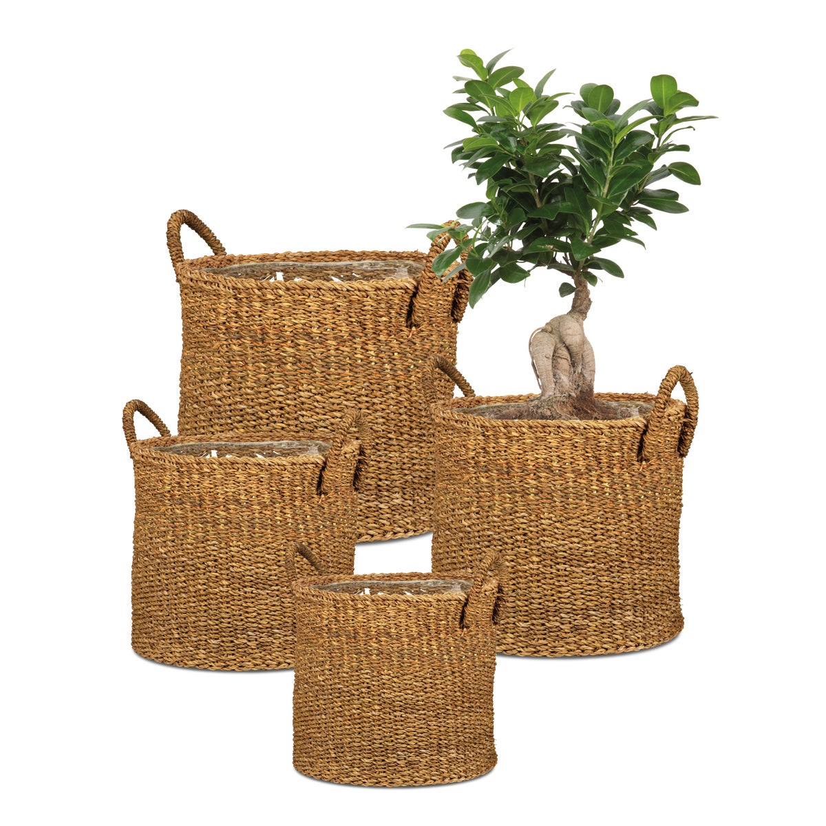 Scheurich Seagrass 23, plantenbak/mandpot met handgrepen van zeegras, kleur: Notenhout, 24 cm diameter, 20 cm hoog, inhoud 7,5 l.