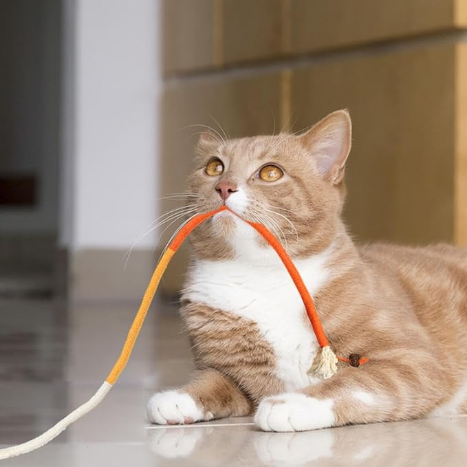 (72cm) Interaktives Baumwollseil Catnip Katzen Spielzeug Zahn Reinigungs Seil mit Minze - Weiss / Gelb / Orange