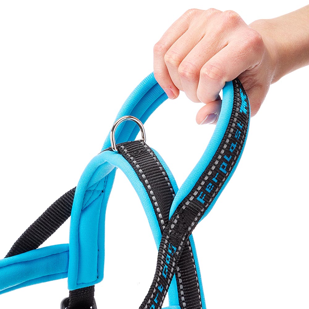 Ferplast harnais de type suédois pour chiens sport dog p small, adaptabilité parfaite, rembourrage souple, coutures