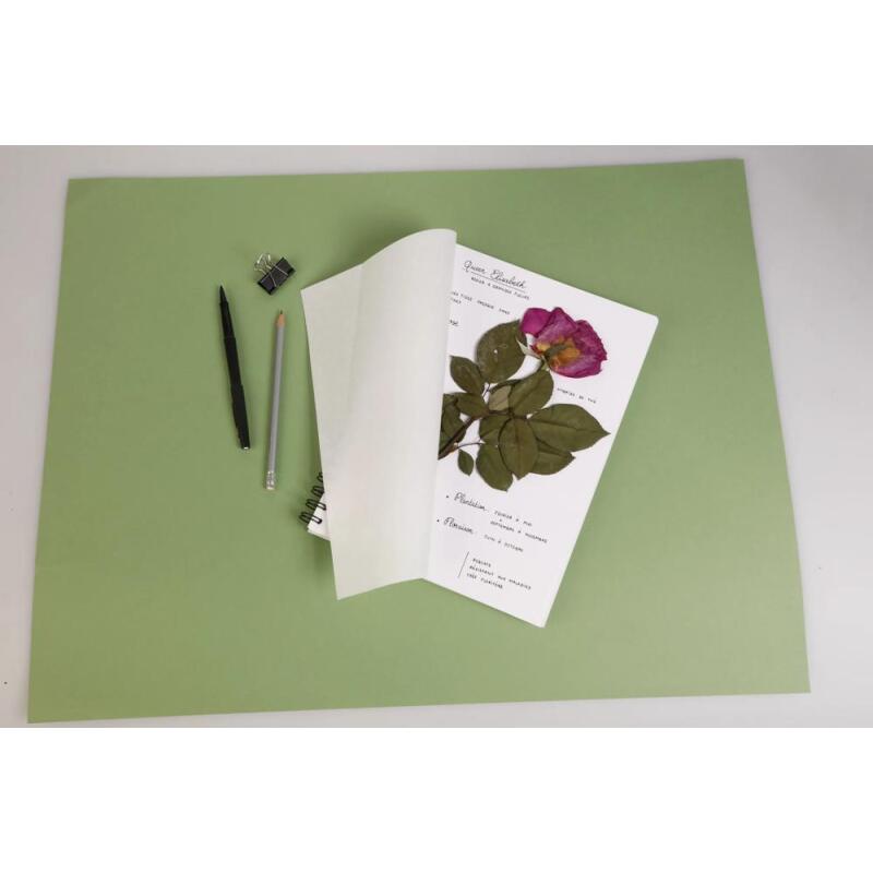 Herbier carnet spiralé 32F 21x21cm 180g