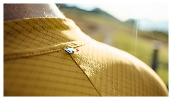 Maillot Manches Courtes Q36.5 Pinstripe PRO Jaune