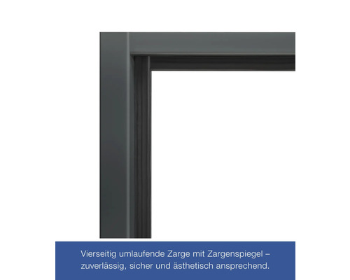 Hörmann multifunctionele kelderdeur T30 H8-5 RAL 7016 antracietgrijs 875x2000 mm omkeerbaar links/rechts