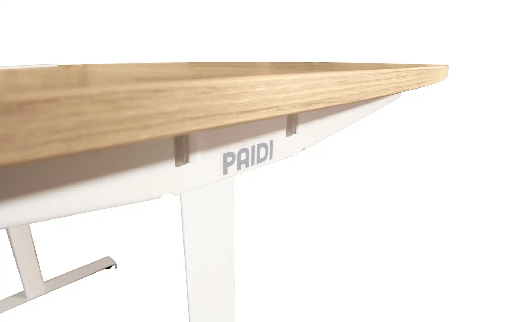 PAIDI Schreibtisch e-lion