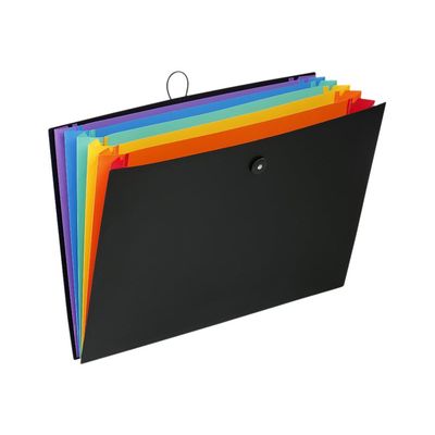 Viquel Rainbow Class - Trieur extensible 6 positions - A3