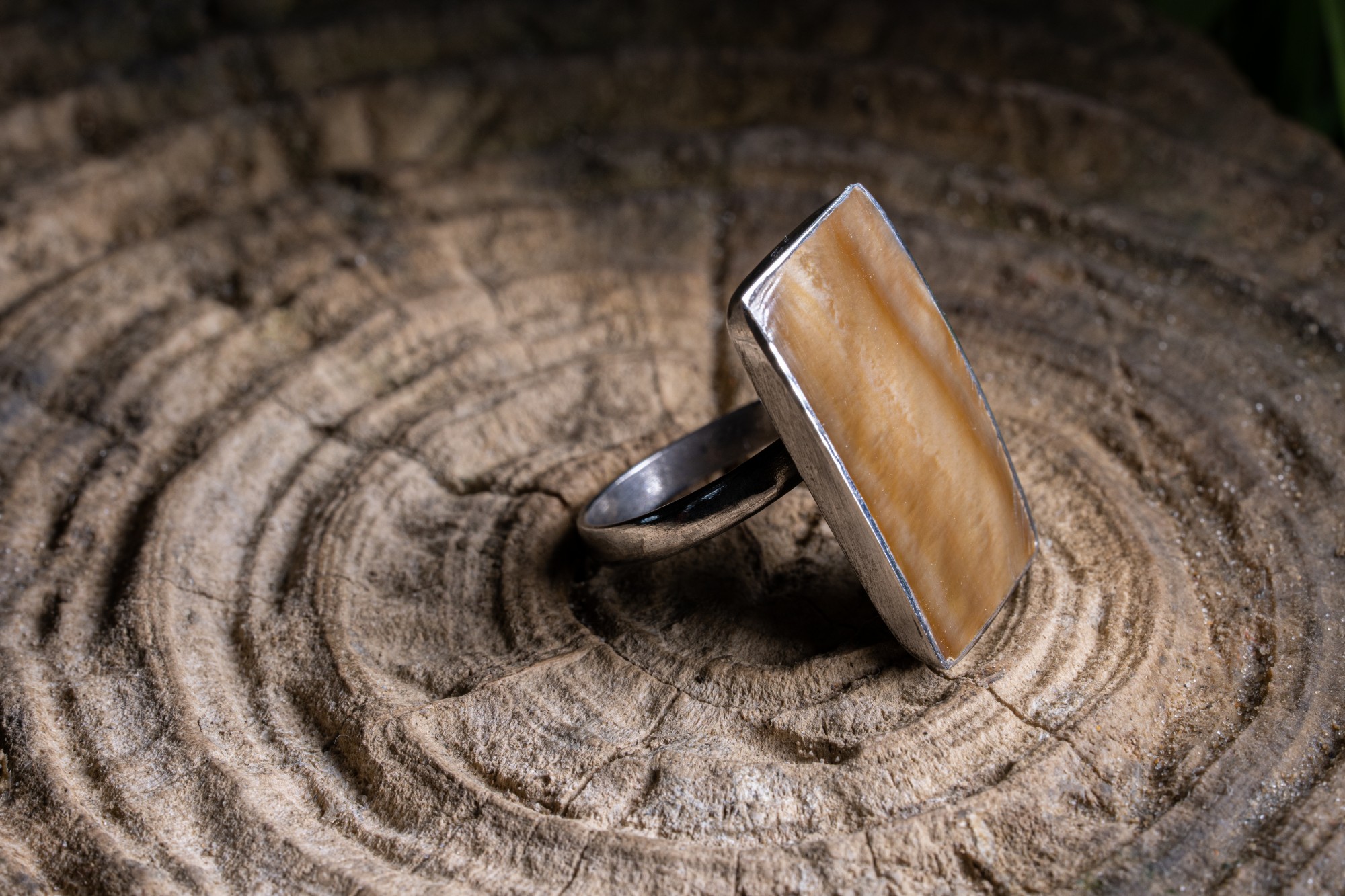Runder Ring aus Edelstahl und Muschelharzen günstig bestellen