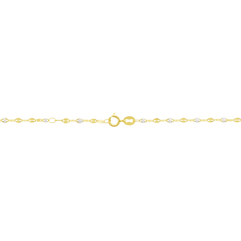 Collier Or Jaune Asteria
