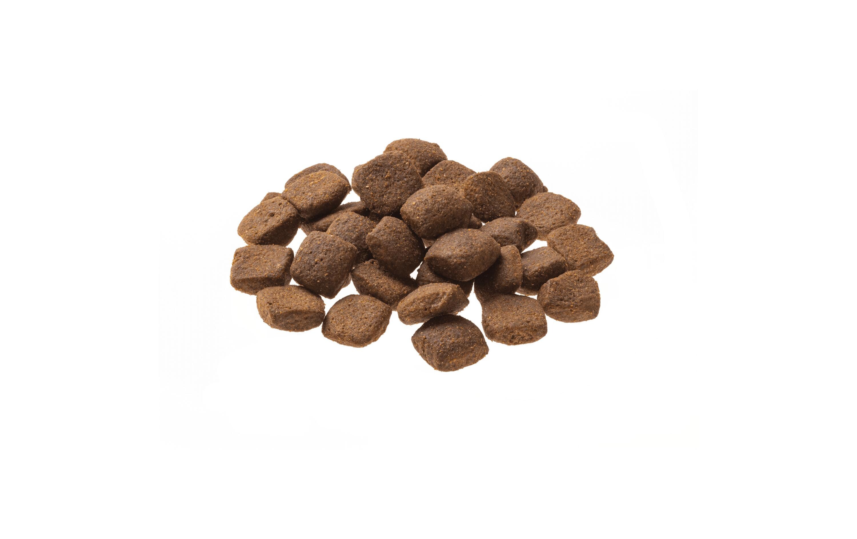 Trockenfutter Natural Taste Lamm 12 kgAlleinfuttermittel für ausgewachsene Hunde