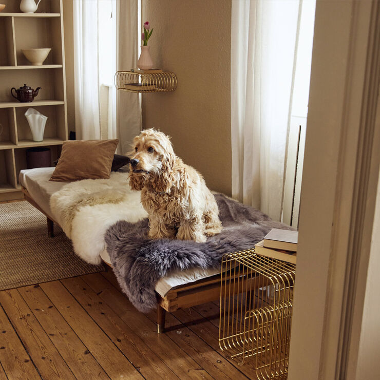 NATURES Collection 90cm-up New Zealand Sheepskin, Long Wool Dark Grey/ 90x60