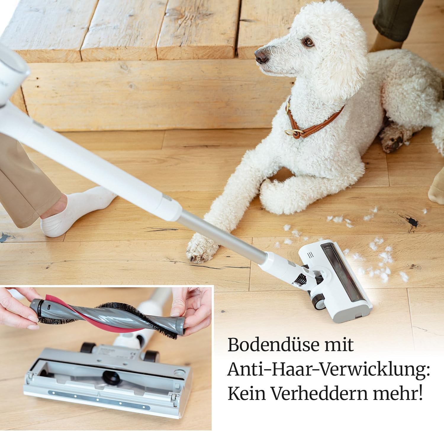 BLAXX LVX Akku Staubsauger kabellos – 60 Min Laufzeit, Akkustaubsauger mit 2 Akkus & Schnelllader, beutellos mit HEPA-Filter, leicht & leise, Smart Display, LEDs, Anti-Tangle-Bürste, Turbomodus