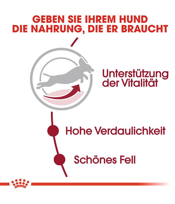 ROYAL CANIN® Trockenfutter für Hunde Medium