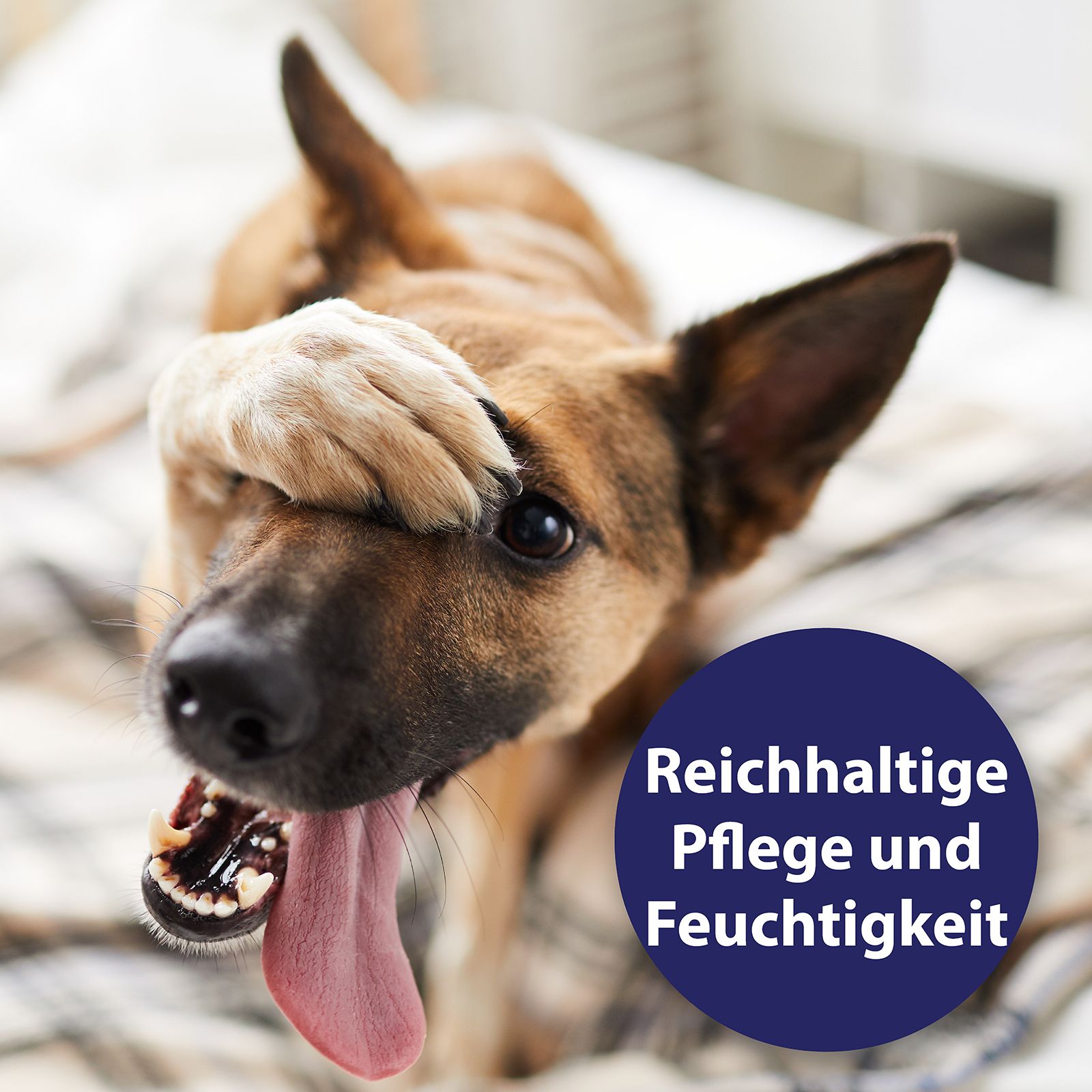 Canosept® Pfotenpflege für Hunde