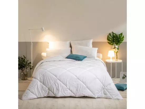 Lot de 2 Oreillers Mémoire de forme Mixte Anti-acariens - Confort réglable - 60x60cm