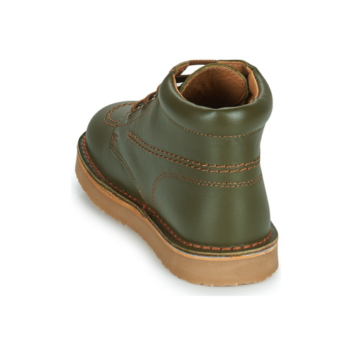 Citrouille et Compagnie - PIMON - Vert