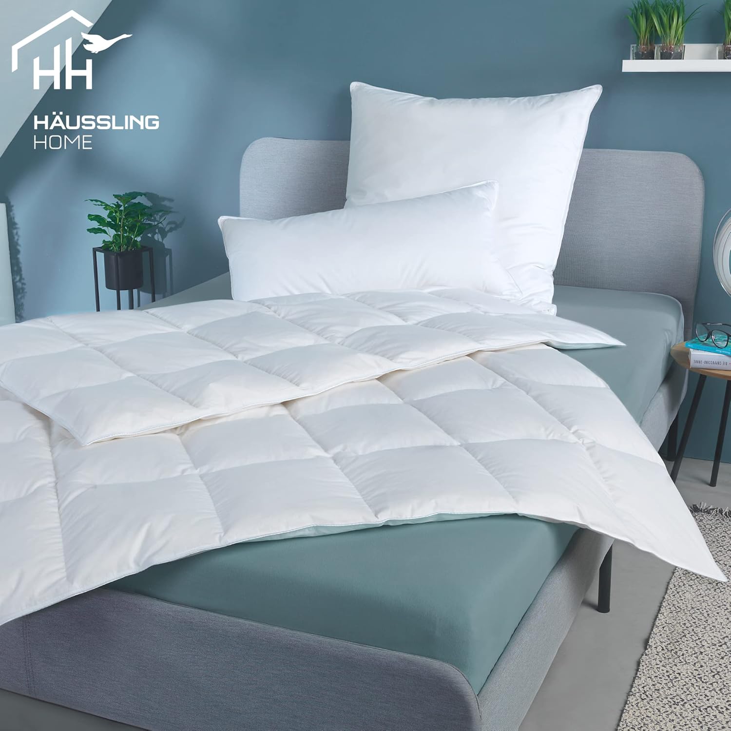 Häussling Home Daunendecke 200x200 cm | Ganzjahresdecke, Bettdecke, Made in Germany, 90% Daunen, auch für Allergiker geeignet, Bezug 100% Baumwolle,Füllgewicht 760g