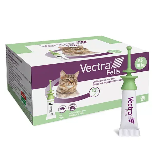 Vectra® Felis solução spot-on para gatos, 12 pipetas