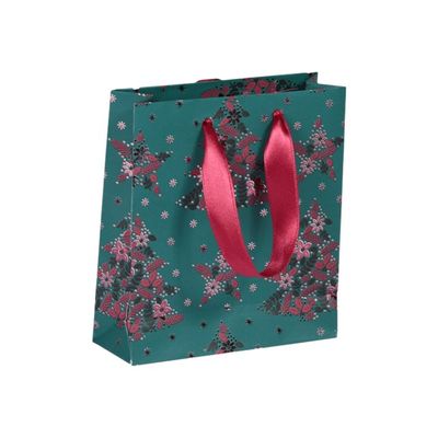 Clairefontaine - Sac cadeau premium - 12 cm x 4,5 cm x 13,5 cm - vert