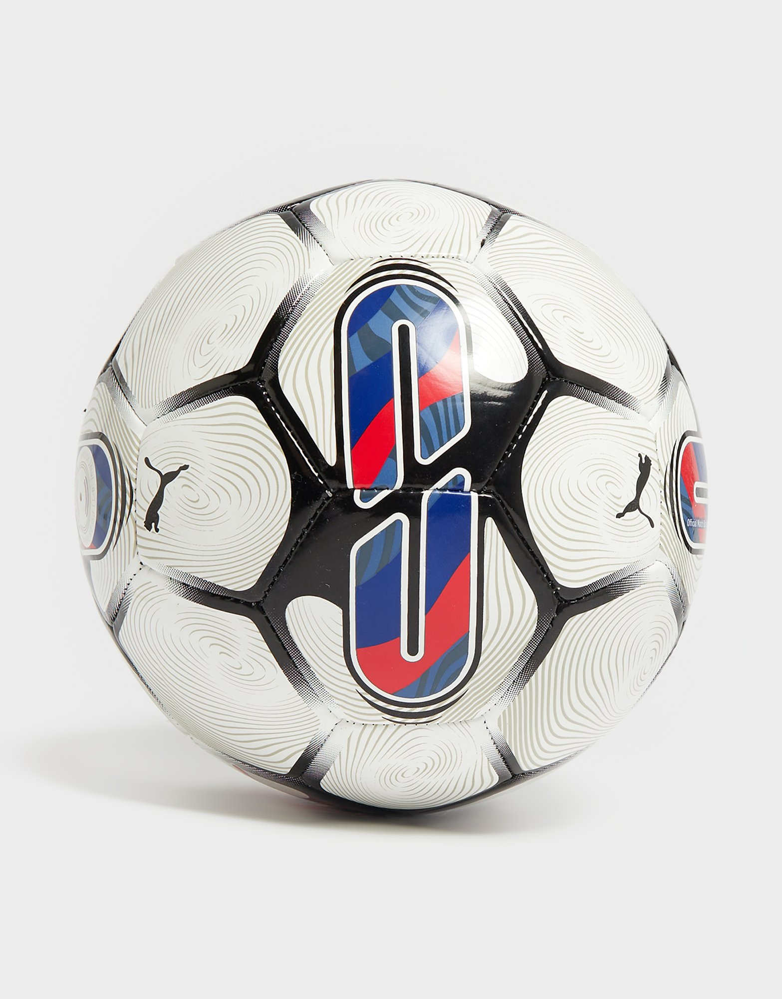 Puma Ballon de football EFL 2023/24