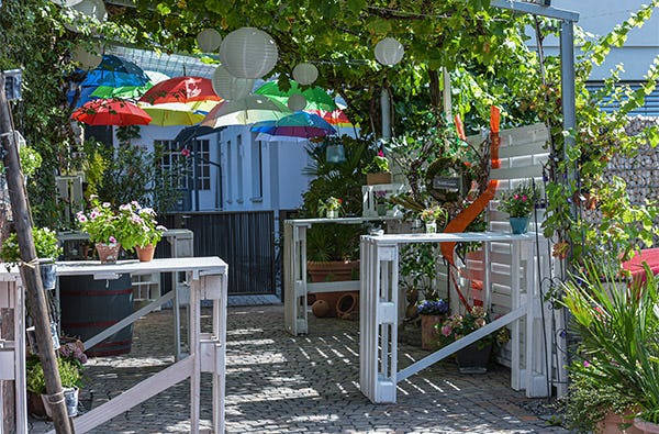 Virtuelle Weinwanderung