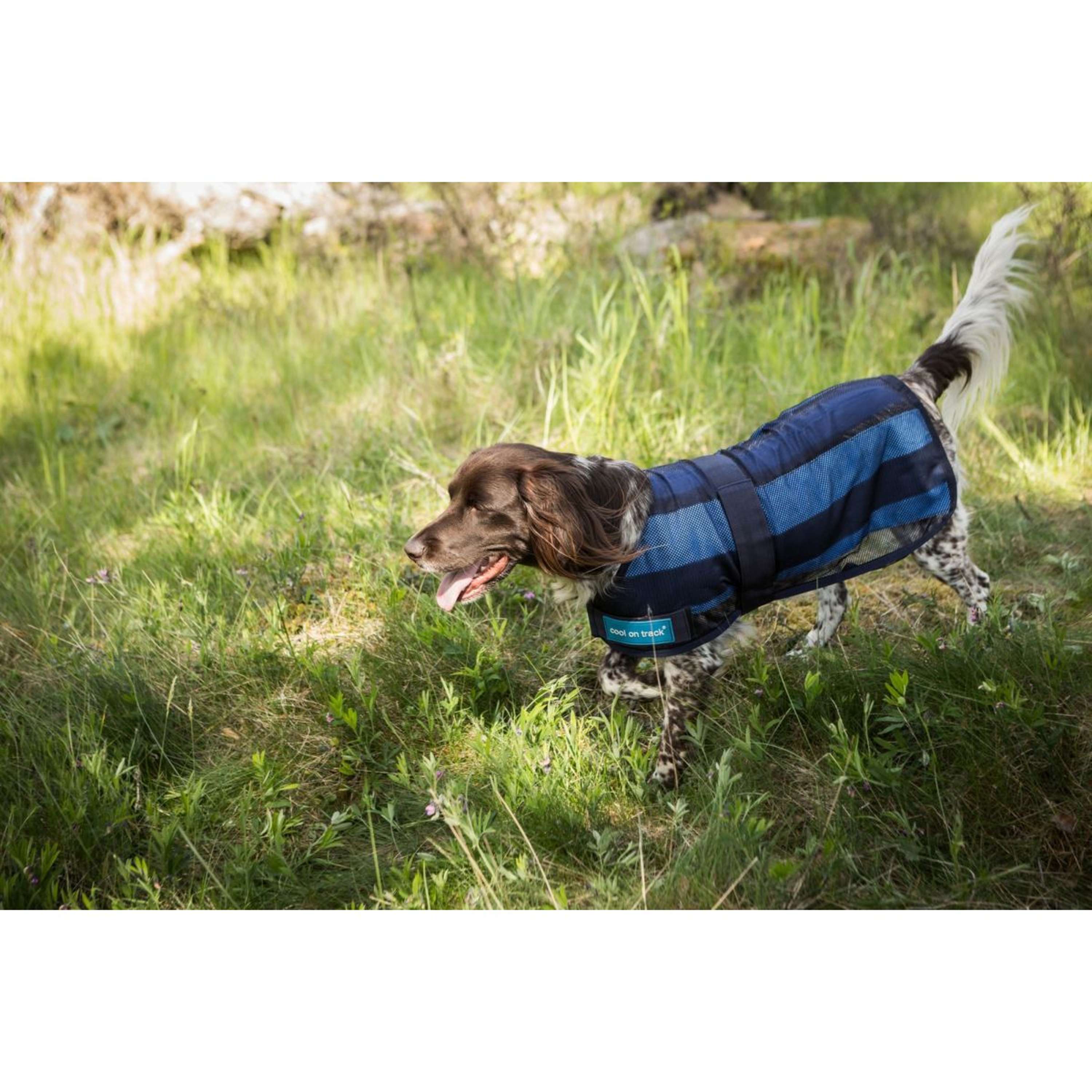 Cool on Track Hondenjas 2.0 Blauw