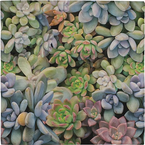Mønstrede servietter 33x33 cm 20-pak