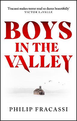 Boys in the Valley (Paperback)