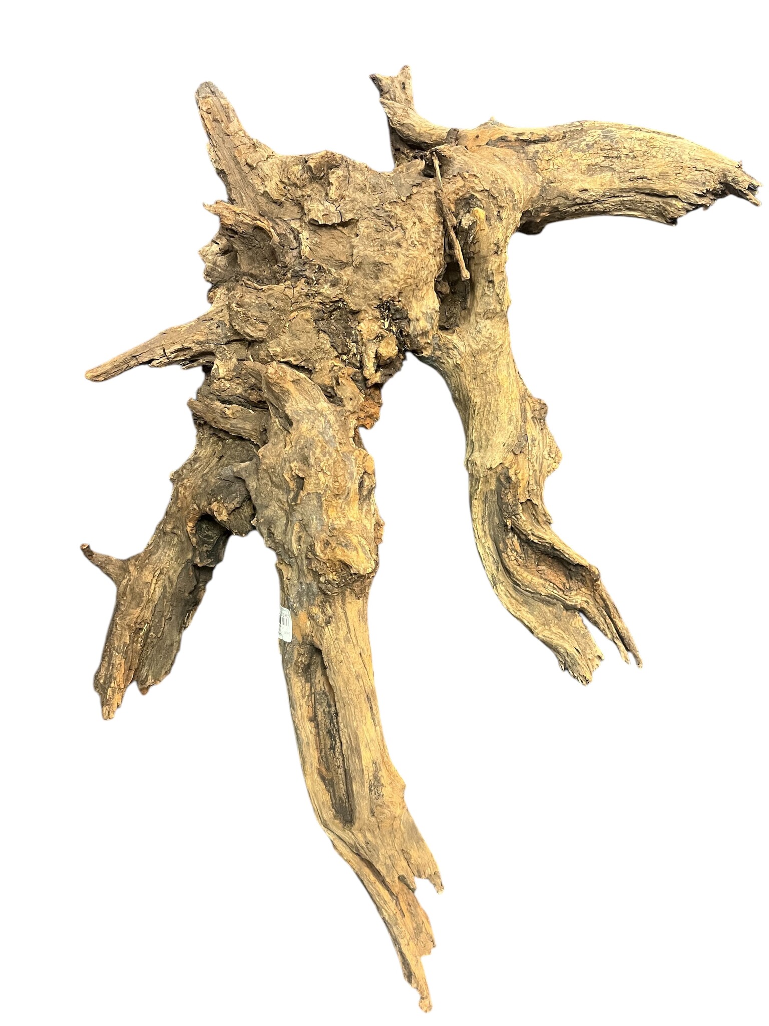 AquastoreXL Corbo Root XL NR06 3,4kg