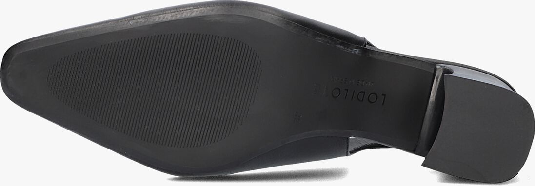 LODI zwarte lodi  cla4262