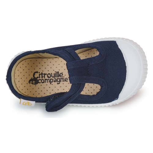 Citrouille et Compagnie - ALUNA - Marine