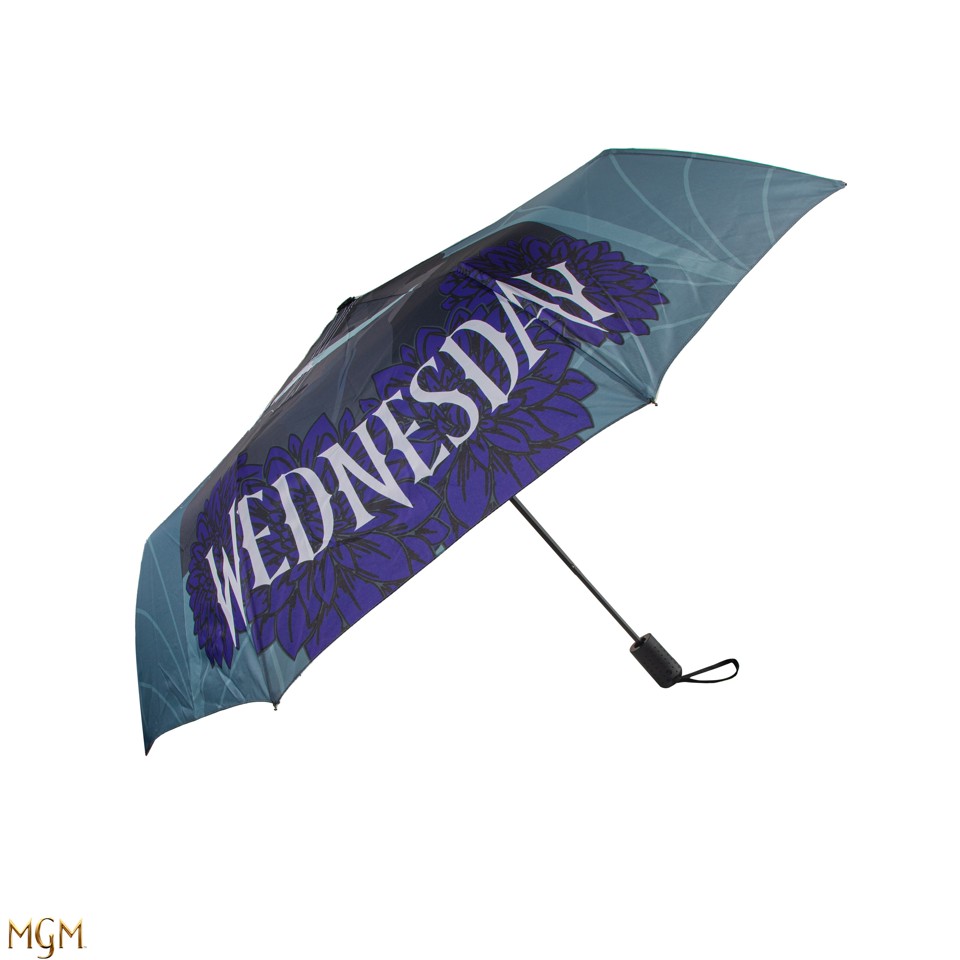 Wednesday - Umbrella - Wednesday with cello