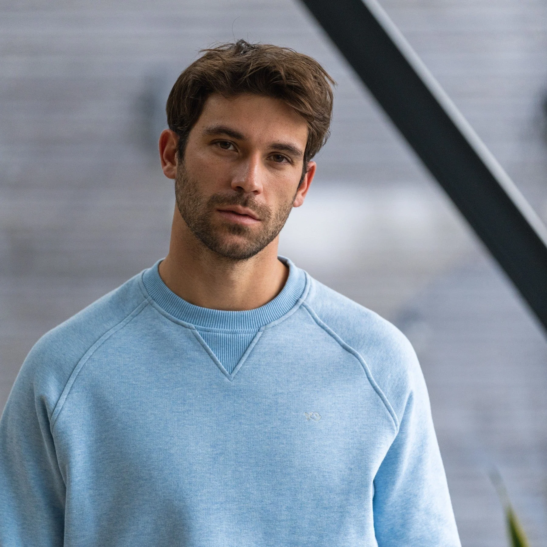 Sweatshirt casual en coton biologique | Bleu