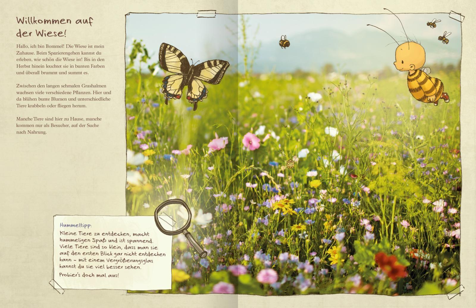 Die kleine Hummel Bommel entdeckt die Wiese