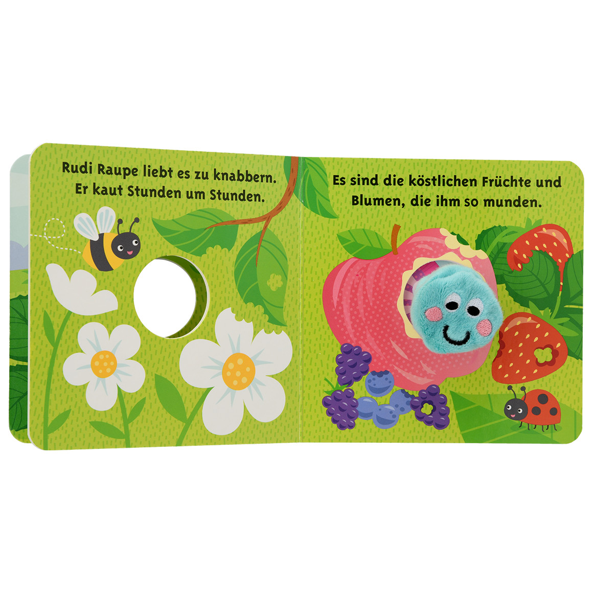 Topomini Baby Fingerpuppenbuch Rudi Raupe hellblau / bunt