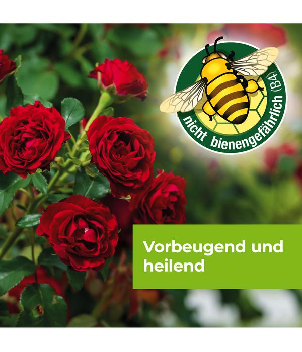 PROTECT GARDEN Curamat AZ Rosen-Pilzfrei,