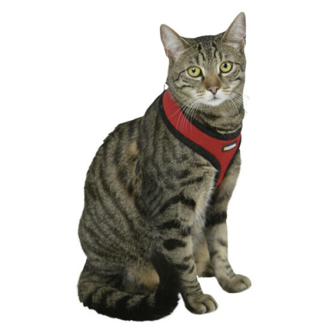 Harnais pour chat Active Kerbl