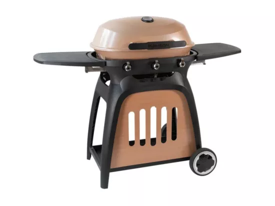 Barbecue rond au gaz Ryde