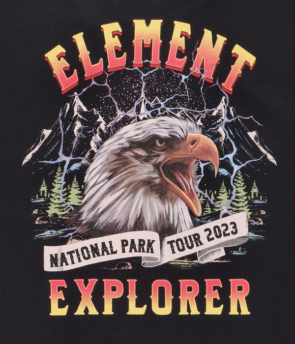 Element Heliaca T-Shirt (flint black)