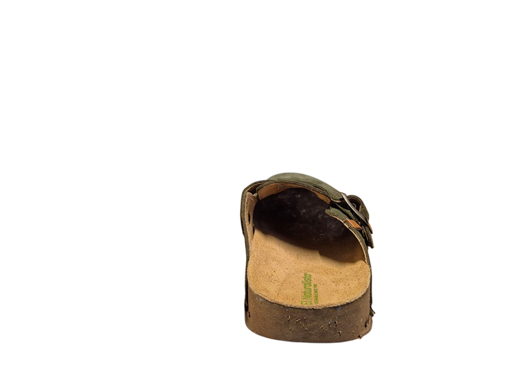 El Naturalista N5796 Forest
